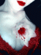   Bloody